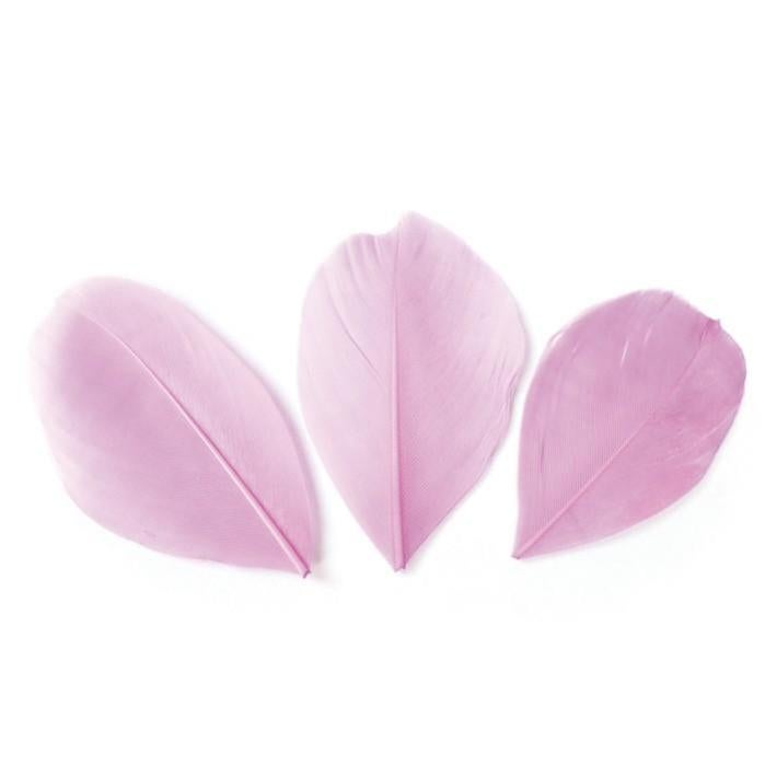 Piume Per Frecce Tiro Con L'Arco - 50 PZ Piume Tacchino Naturale Dente Di Lupo 4 Pollici Piume Per Frecce Tiro Con L'Arco - 50 PZ Piume Tacchino Naturale Dente Di Lupo 4 Pollici