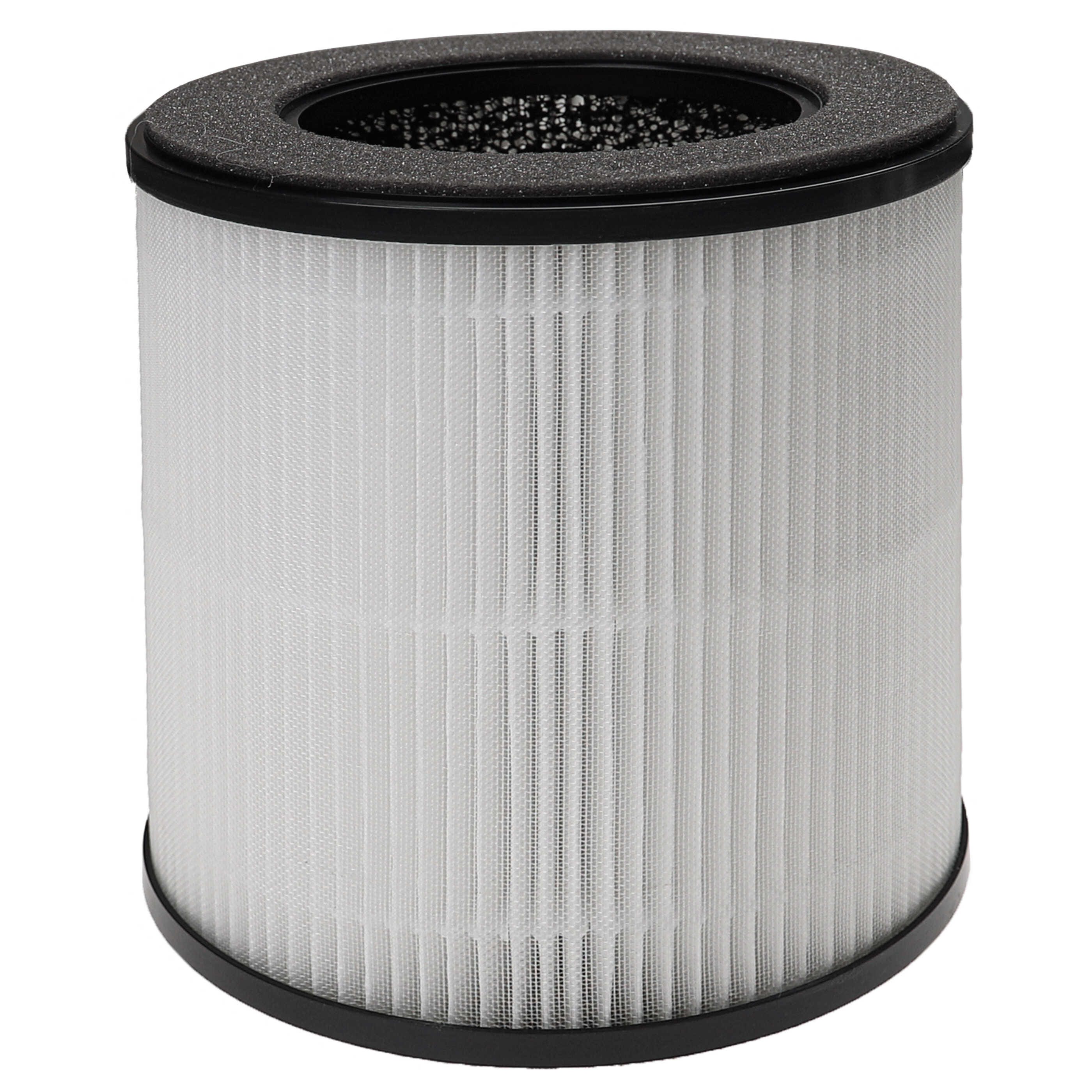 Vhbw Filtre à air compatible avec Acekool purificateur d'air - Filtre  combiné pré-filtre + HEPA 13 + charbon actif
