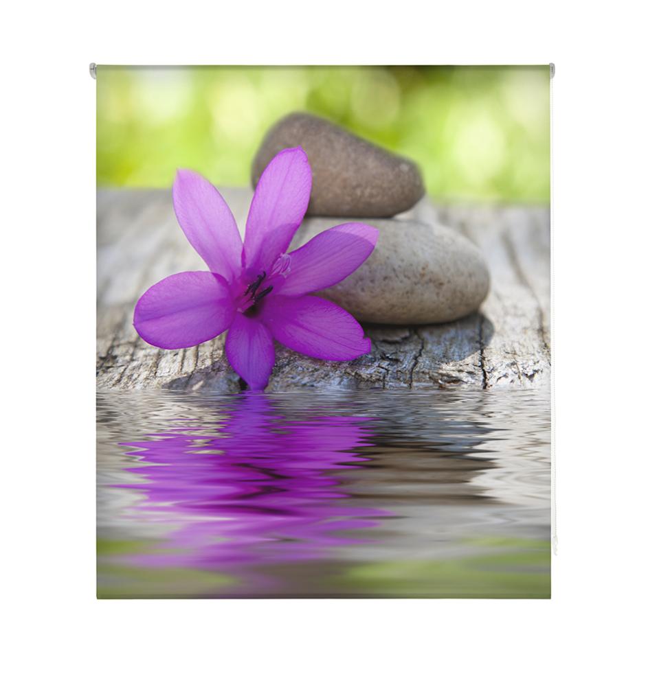 Estor enrollable happystor estampado digital zen hscz4502 200x250cm