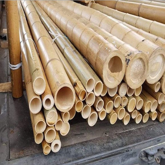 Canna di Bamboo Gigante H. 300 13/15 CM, MOSO, Canne di Bambù per  Arredamento