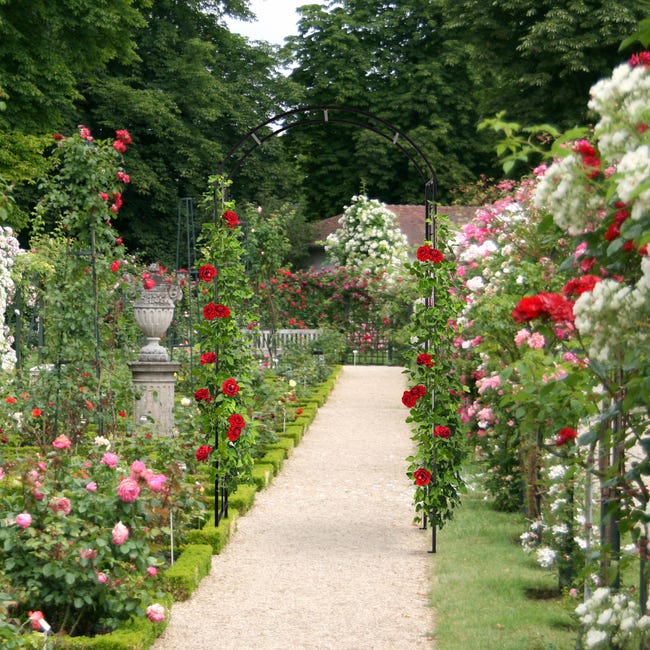 Relaxdays Arco per Rose Rampicanti da Giardino, Sostegno per Piante, HLP:  224 x 110 x 41 cm, Supporto in Ferro, Nero
