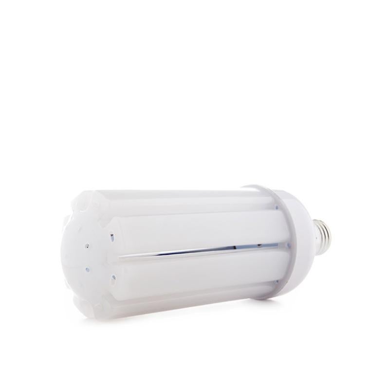 UKLIGHTSTORE Lampadina Professionale 24V 50W - 30 Pezzi, Punta Superiore Nera E Blu, Per Precisione