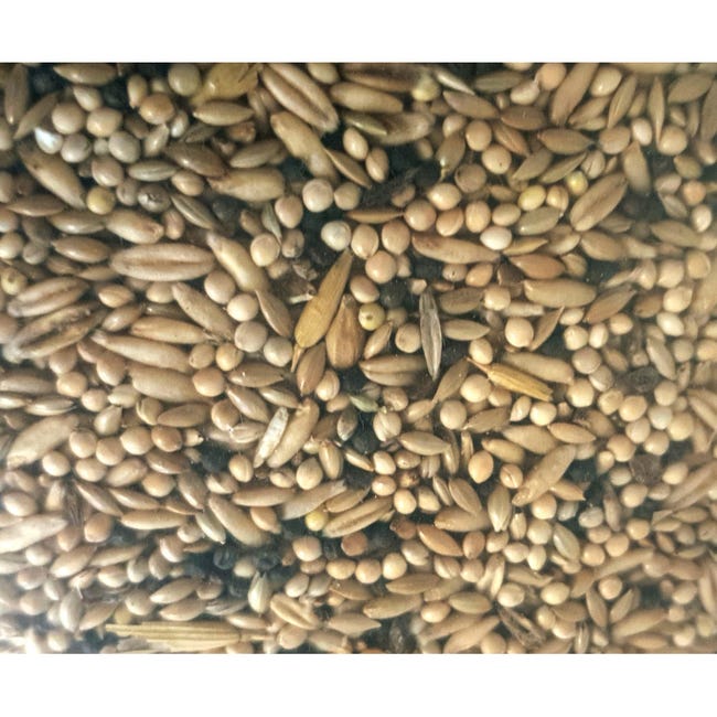 Zolux-Sac de graines de Tournesol pour oiseau du jardin 1,5kg