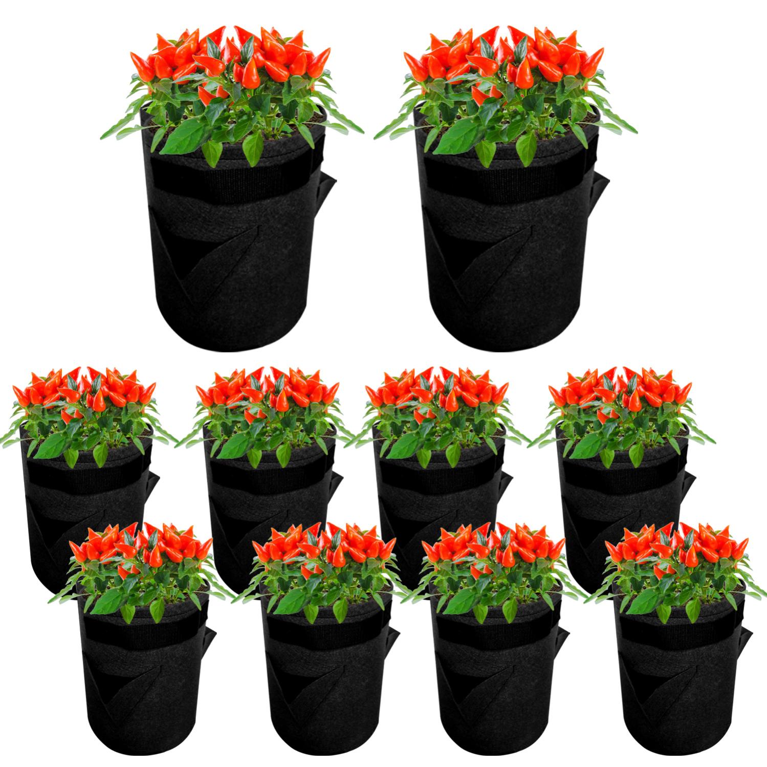 INOOMP 24pièces De Culture Non-tissés Pour Plantes De Croissance Pour