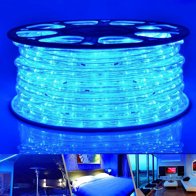Tube Lumineux Extérieur LED Guirlande Lumineuse Décoration et Adapteur  d'alimentation Bleu-40M