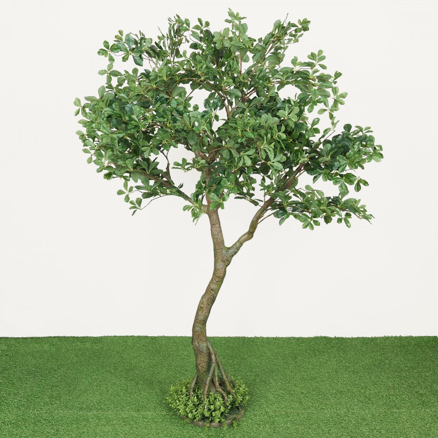 Schefflera luseana bonsaï artificiel 190cm Leroy Merlin