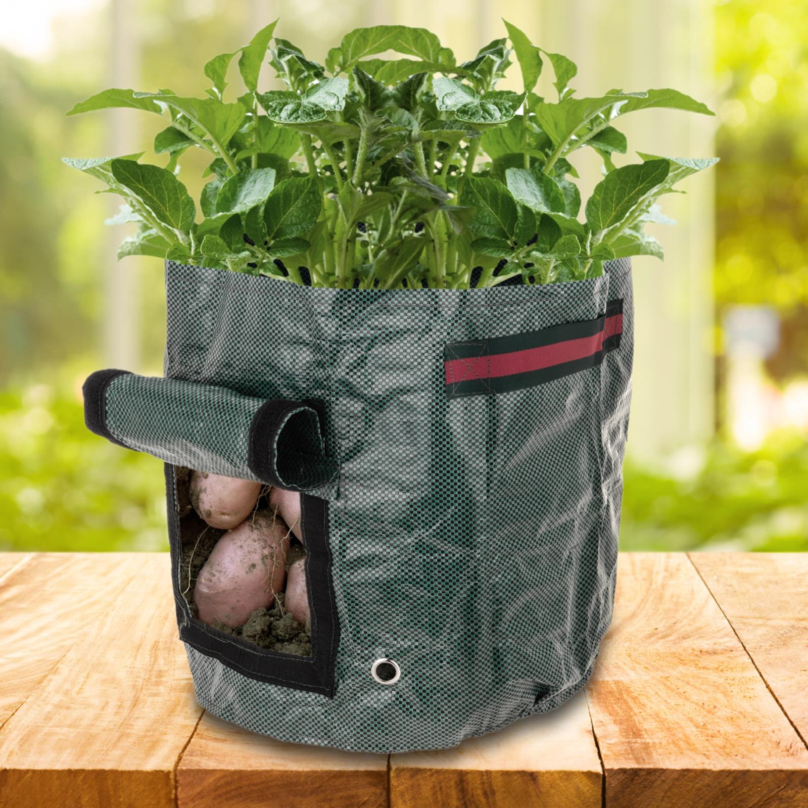 Distributore SAT Per Sistemi Satellitari, 2 Vie, PB 5-2500 MHz - Foto 10