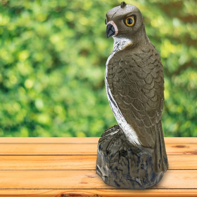 Figurine de Faucon (54 cm) repousse oiseaux pour Jardin et Potager