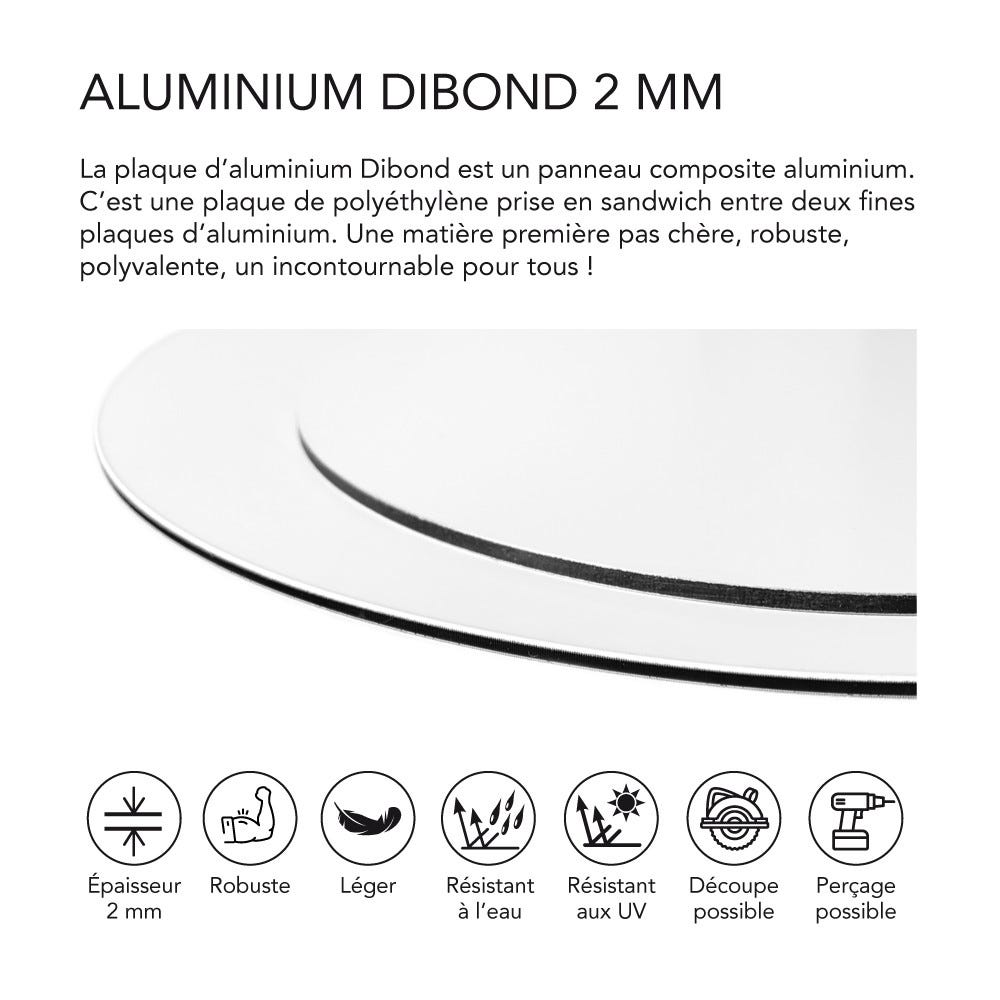 Panneau Composite Aluminium Blanc 2 mm - Plaque alu avec au Centre un  Polyéthylène (PVC) Aluminium Composite Blanc 2 mm - 20 x 30 cm (200 x 300  mm) - : : Bricolage