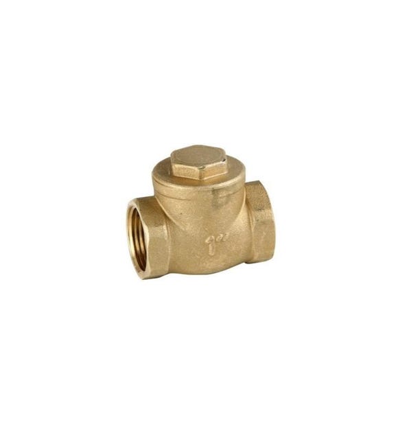 Valvola di non ritorno interna da 160 mm Valvola di non ritorno interna da 160 mm