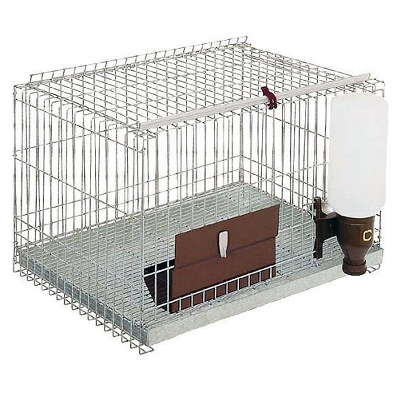Cage Neo cosy pour grands rongeurs 80 cm gris Zolux