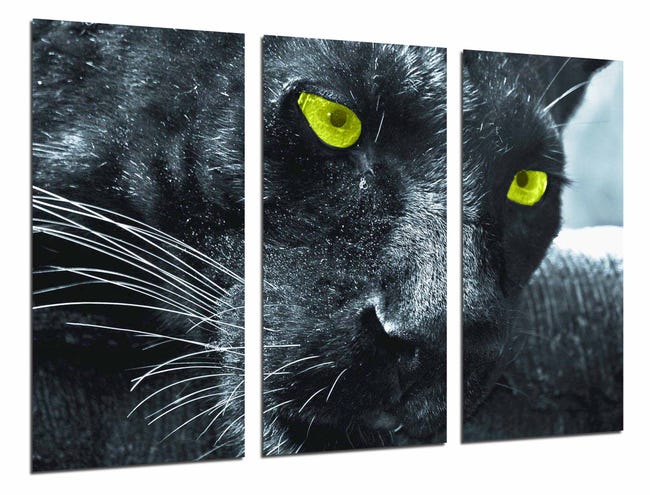 Jaguar, Pantera, Animal Salvaje, Felino, impresión fotográfica sobre  madera, cuadro moderno decorativo | Leroy Merlin