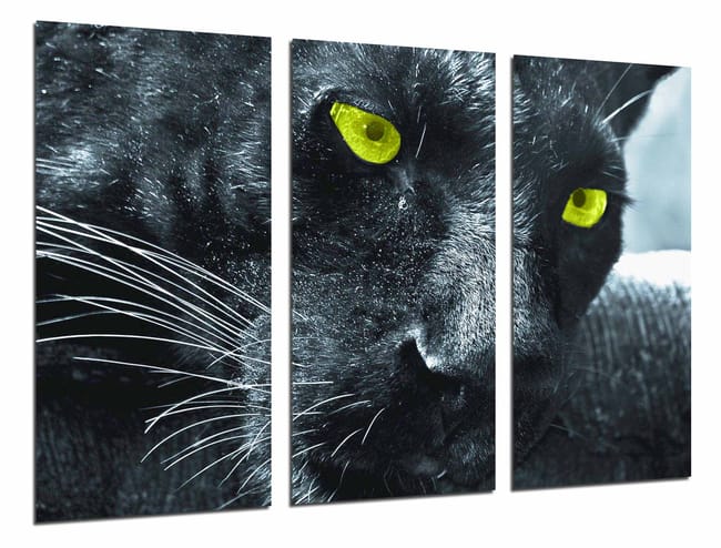 Jaguar, Pantera, Animal Salvaje, Felino, impresión fotográfica sobre madera, cuadro moderno decorativo | Leroy Merlin Jaguar, Pantera, Animal Salvaje, Felino, impresión fotográfica sobre madera, cuadro moderno decorativo | Leroy Merlin
