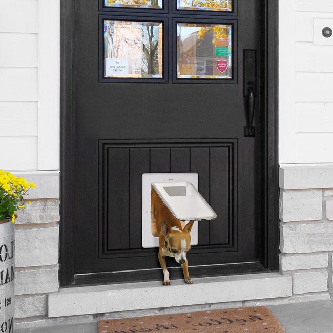 Las mejores puertas para perros y gatos para que entren y salgan