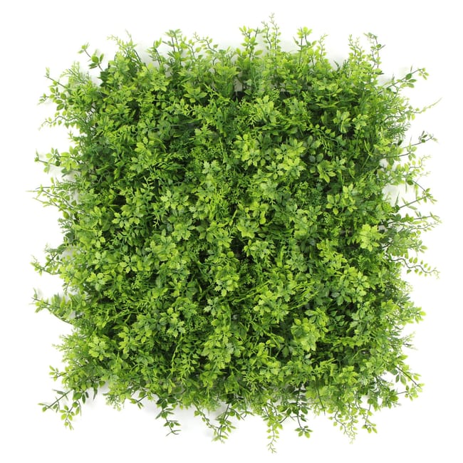 Ruscus | FOLY - 50 X 50 Cm - Siepe Artificiale - Verde Verticale A Parete Per Interni E Esteri Garanzi Uv 5 Anni Jivana 85558123 Ruscus | FOLY - 50 X 50 Cm - Siepe Artificiale - Verde Verticale A Parete Per Interni E Esteri Garanzi Uv 5 Anni Jivana 85558123