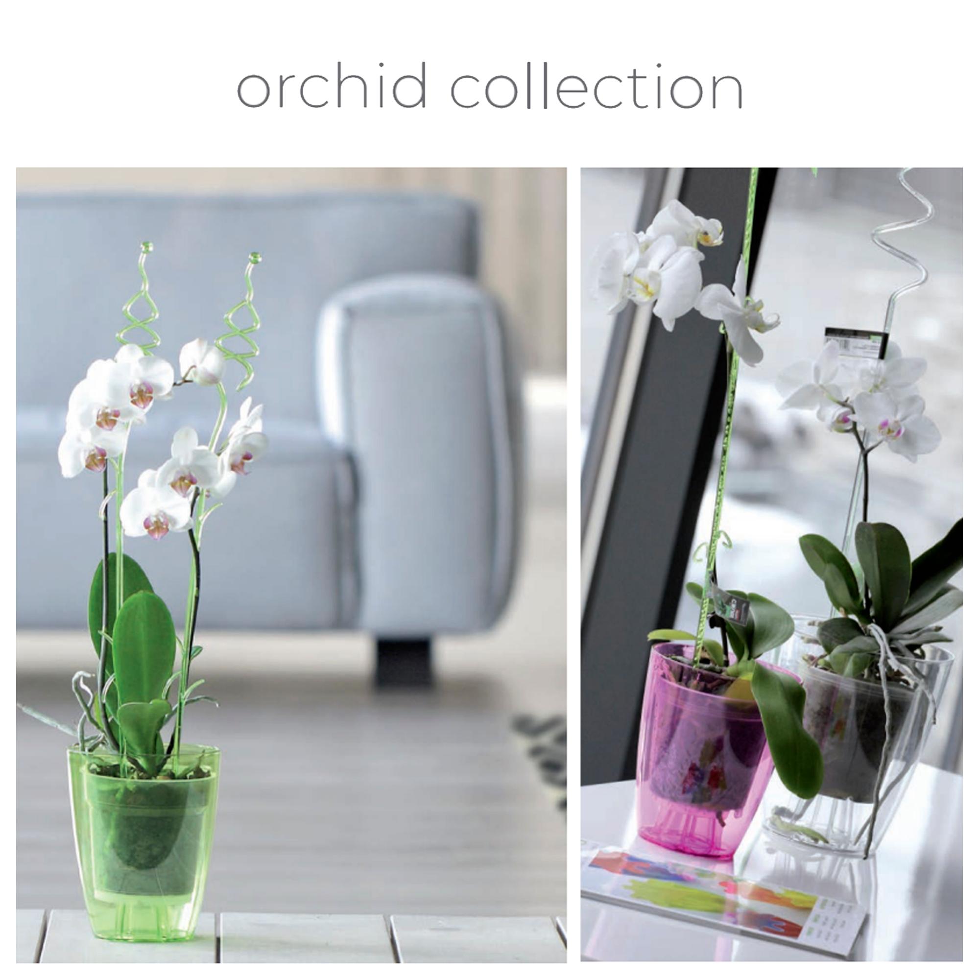 Vaso Per Orchidee Vaso ORCHID Lavanda Viola H. 13,5cm D. 12cm Sandra