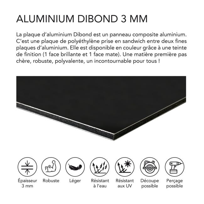Panneau Composite Aluminium Couleur 3 mm 300 x 300 mm