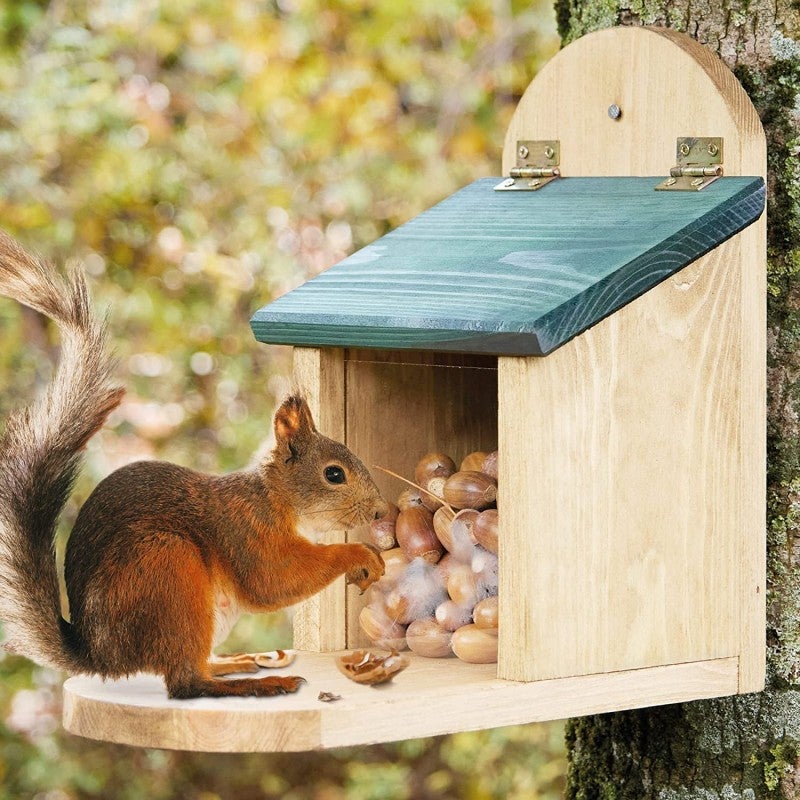MIXXIDEA Mangeoire à écureuils en bois, mangeoires pour écureuils pour  jardin extérieur, station d'alimentation pour écureuils avec couvercle  vert, facile à remplir et à nettoyer avec panneau avant amovible, mangeoire  pour écureuils 