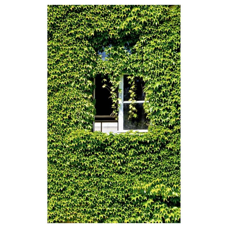 Tenture murale extérieure imprimée CACHETTE, H.2 x L.1.2 m, SCENOLIA