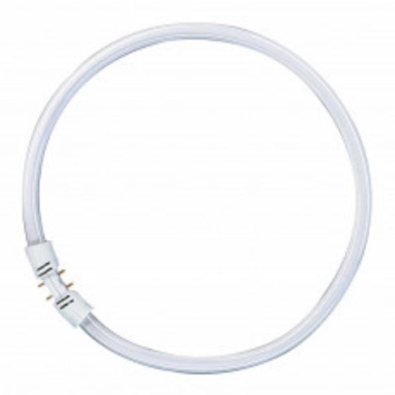 Circolina neon osram t5 fc luce naturale 840 40w | Leroy Merlin