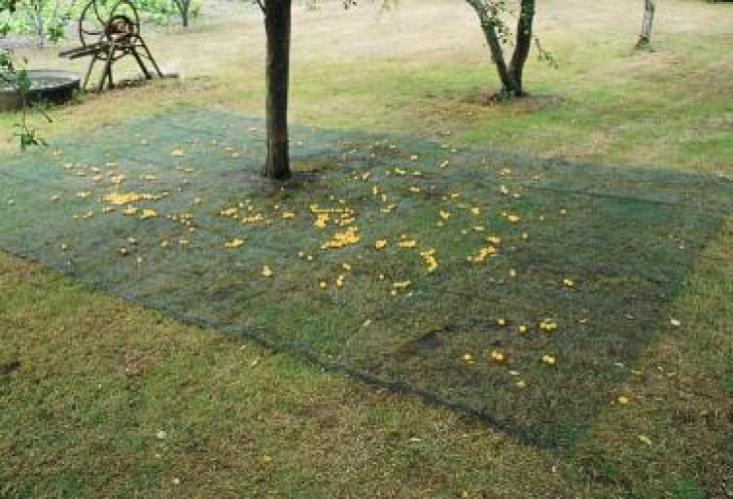 Filet de ramassage 4 x 6 m CAPTANET | Leroy Merlin