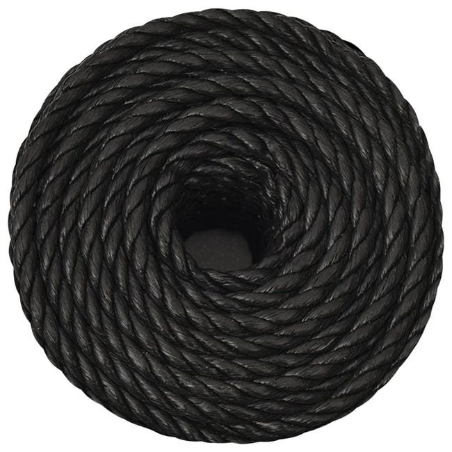 Corde de travail Noir 10 mm 100 m polypropylène vidaXL