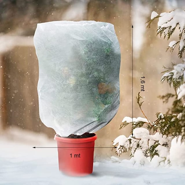 Cappuccio invernale antigelo per piante in TNT protettivo - 3 pz - 100x160 cm