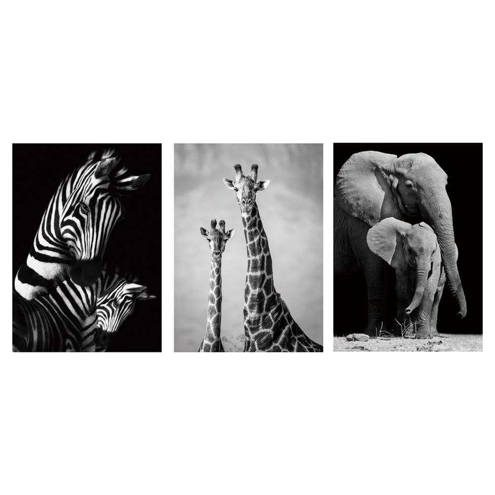 Set de 3 cuadros de animales fotoimpresos sobre lienzo en blanco y negro de  50x70 cm