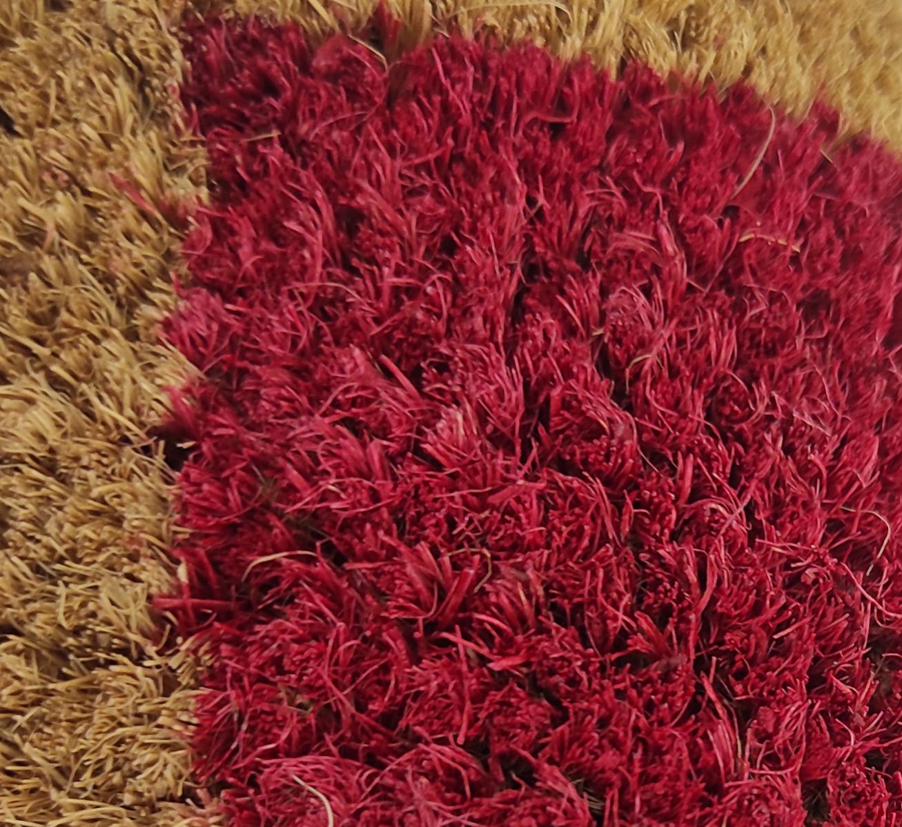 Felpudo| Composición 100% Fibra Coco| Base Antideslizante| Cenefa Rojo| Medida 45X80CM - 3