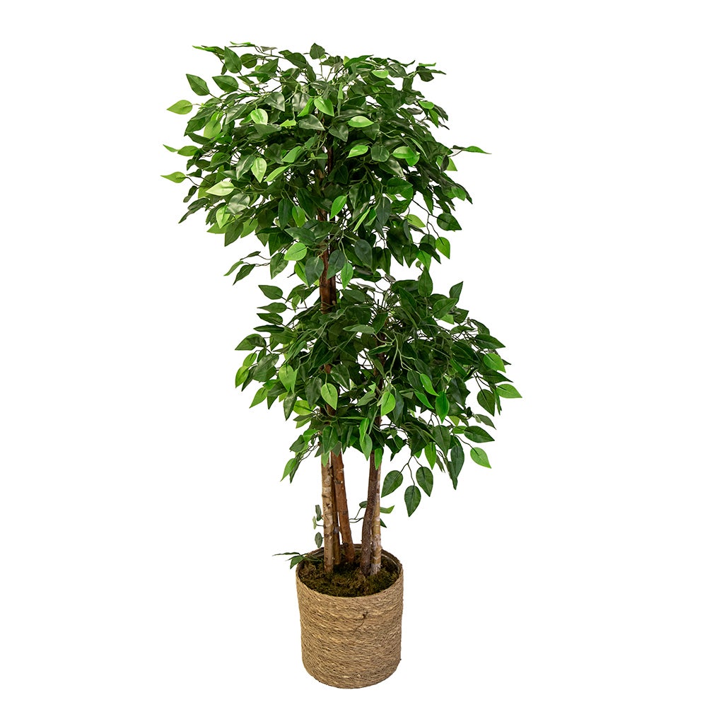 Ficus Artificial 3 Copas (175 cm)