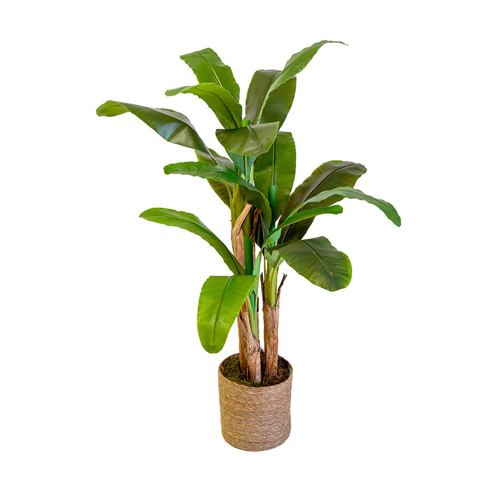 MAIA SHOP Planta Artificial, Árbol con Troncos Naturales, Ramas de