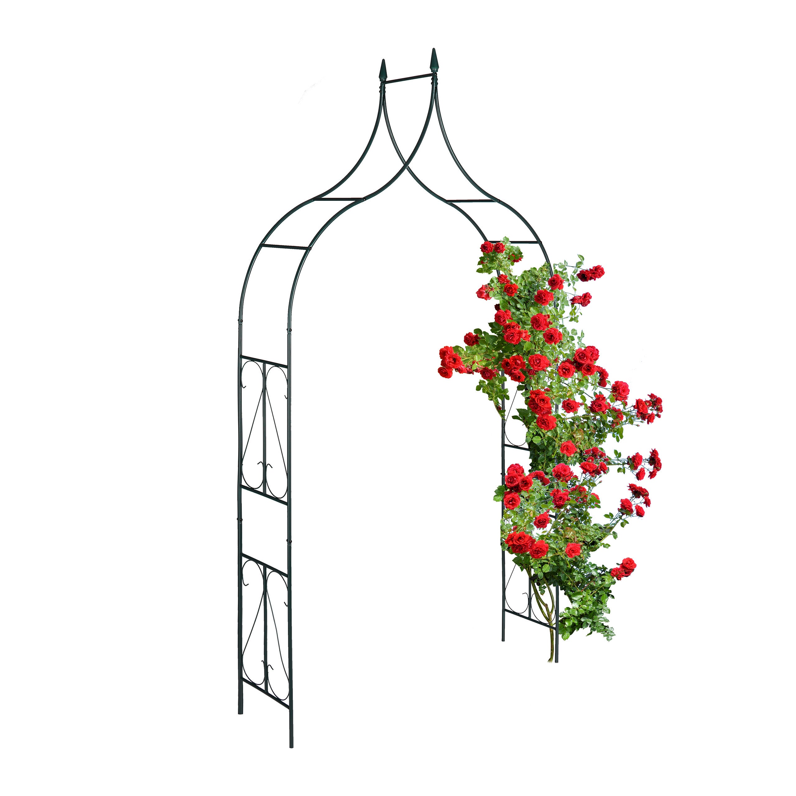 1pc, Supporto Fiori Arco In Ferro Semplice Pergola Rose Rampicanti Strada  Rack Vine Moon Grape Loofah Rampicante Rinforzato Supporto Fiori - Patio,  Prato E Giardino - Temu Italy