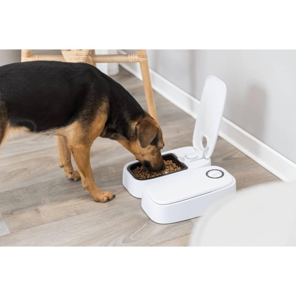 Easy Pet Distributore Automatico Di Cibo Per Animali, Cani E Gatti IMPDA001 - 2
