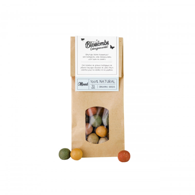 BOMBES A GRAINES Sachet Kraft (10 billes) Leroy Merlin