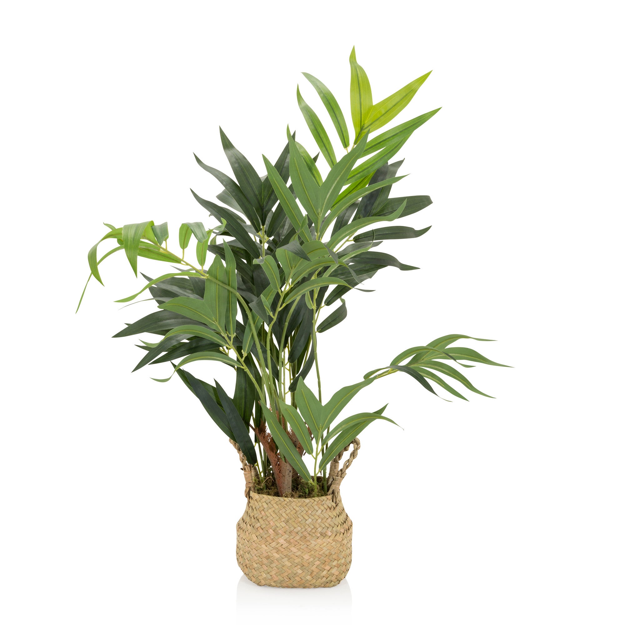 ZAMIIFOLIA ROBUSTA VERDE 90 cm - PIANTA ARTIFICIALE