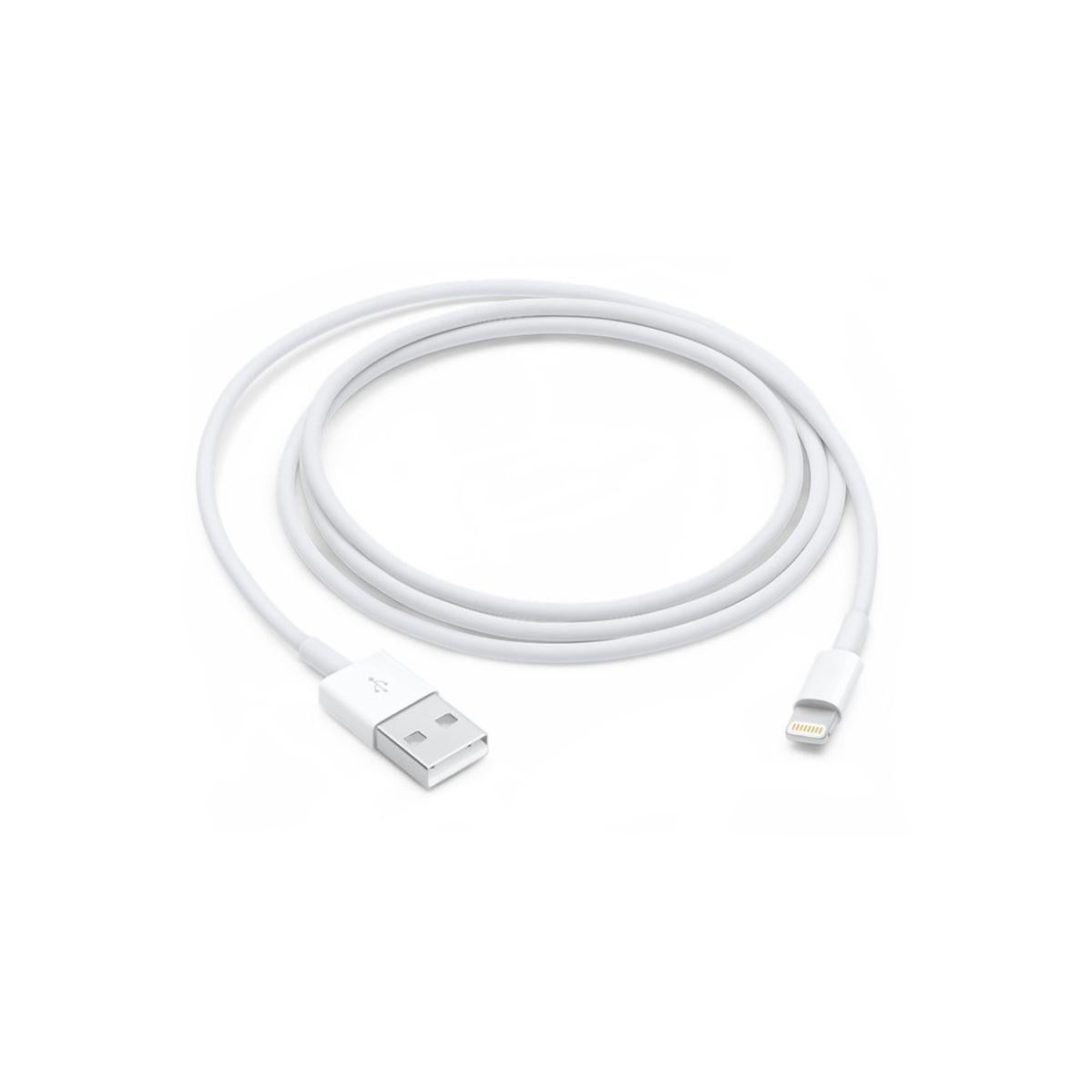 Câble Lightning APPLE 1M Blanc Leroy Merlin
