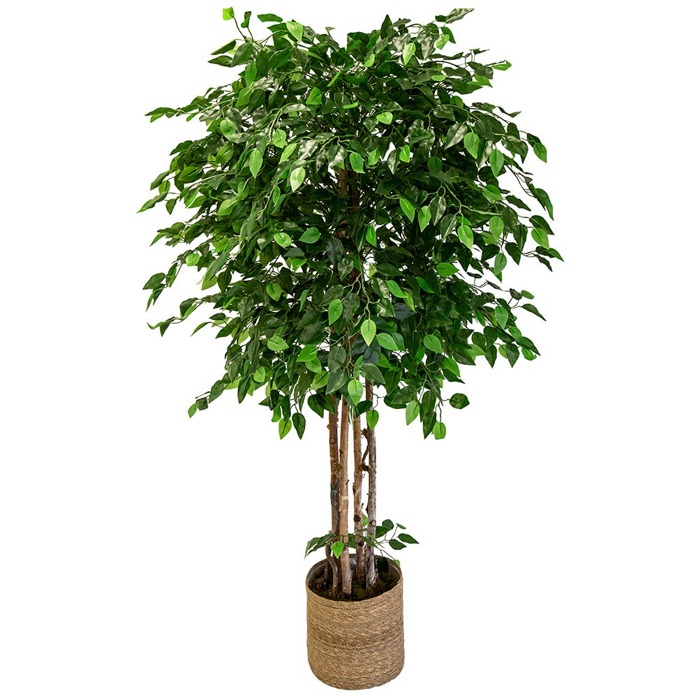 Ficus Artificial Excélsior (190 cm)