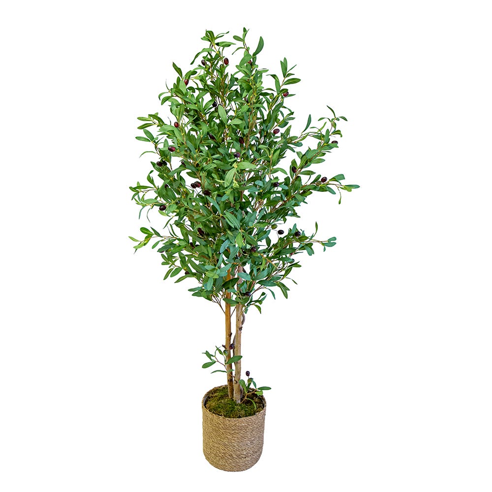 Olivo artificial, olivos artificiales de 6 pies de alto con maceta de  plástico para decoración de oficina y hogar, planta de olivo artificial