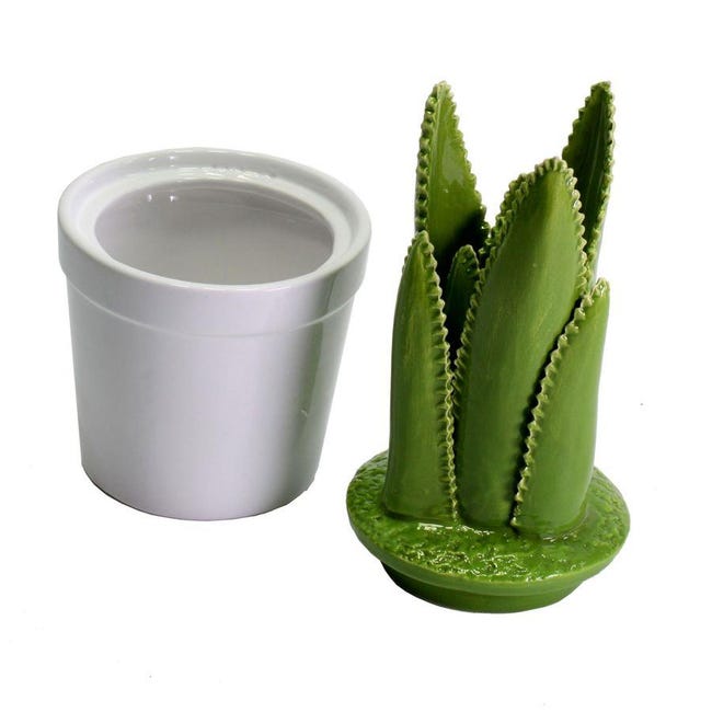 Vaso in ceramica a forma di cactus altezza 26,5 cm forma tonda