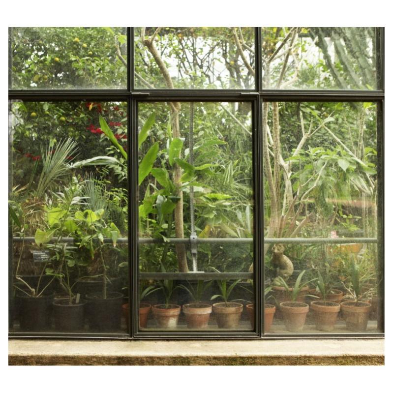 Papier Peint TROPICAL GREENHOUSE H.2.7 x L.3 m Tapisserie murale