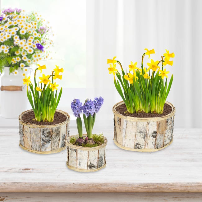 Pot de fleurs en rotin rond gris - Pot pour l'intérieur et l'extérieur