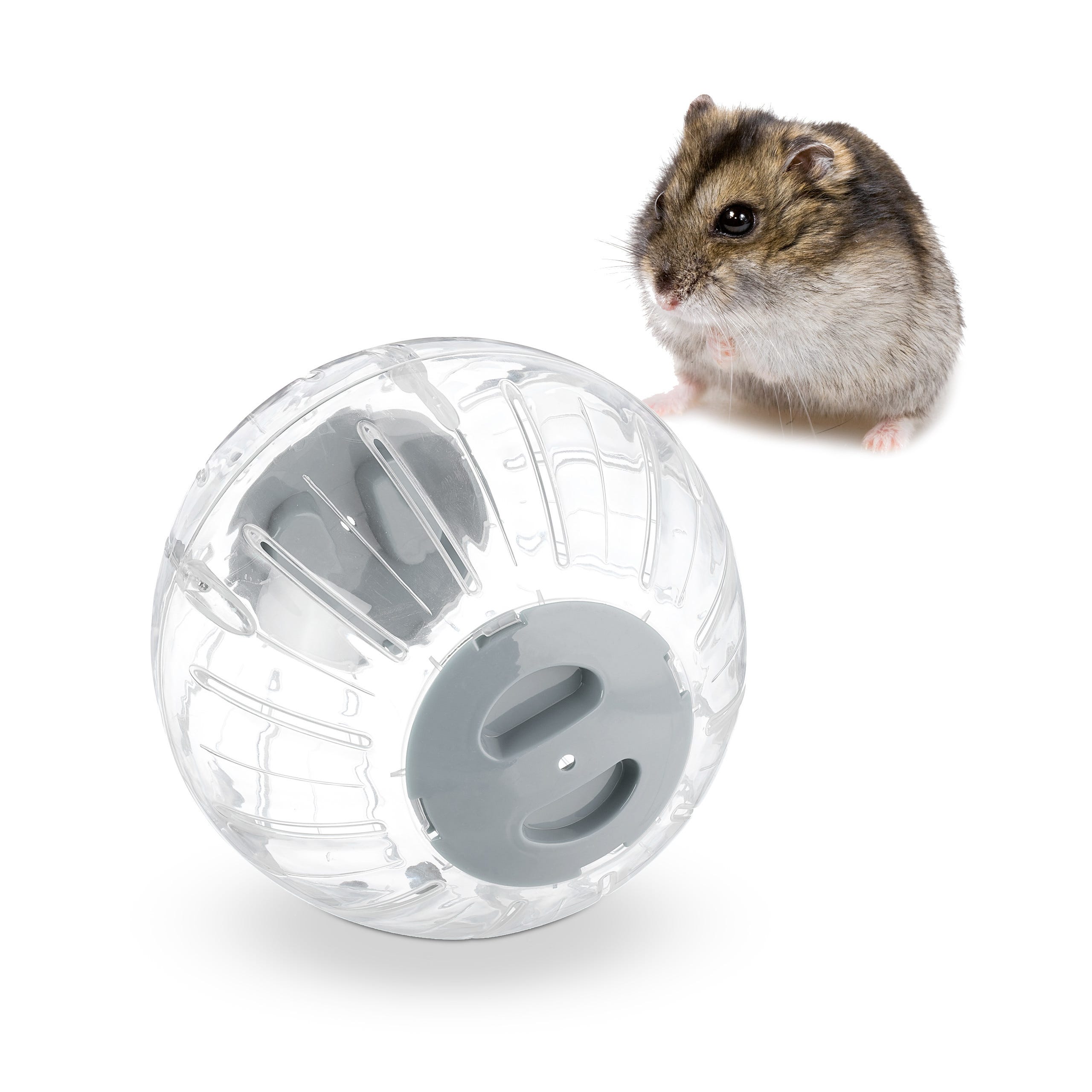 Boule de Coton pour Hamster, Doux fabriqué à la Main en Hiver Léger pour  Petit Animal de Remplissage de Boule de Coton pour Chinchilla pour Hamster  (Bleu) : : Animalerie