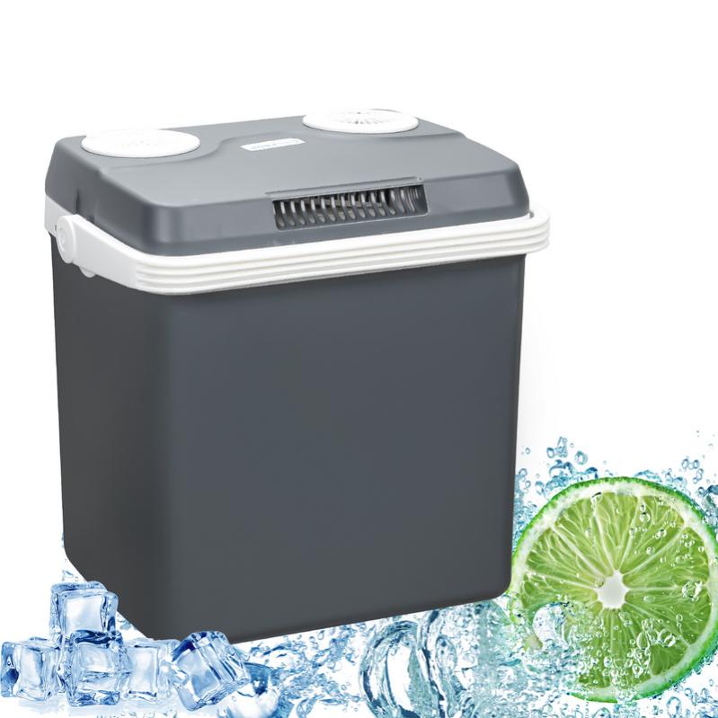 Glacière électrique 32 L (Gris) Mini réfrigérateur 230 V et 12 V pour voiture camping Froid