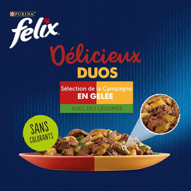 FELIX - Tendres Effilés Duos en Gelée - Chat Adulte Sélection de la  Campagne 44x85g