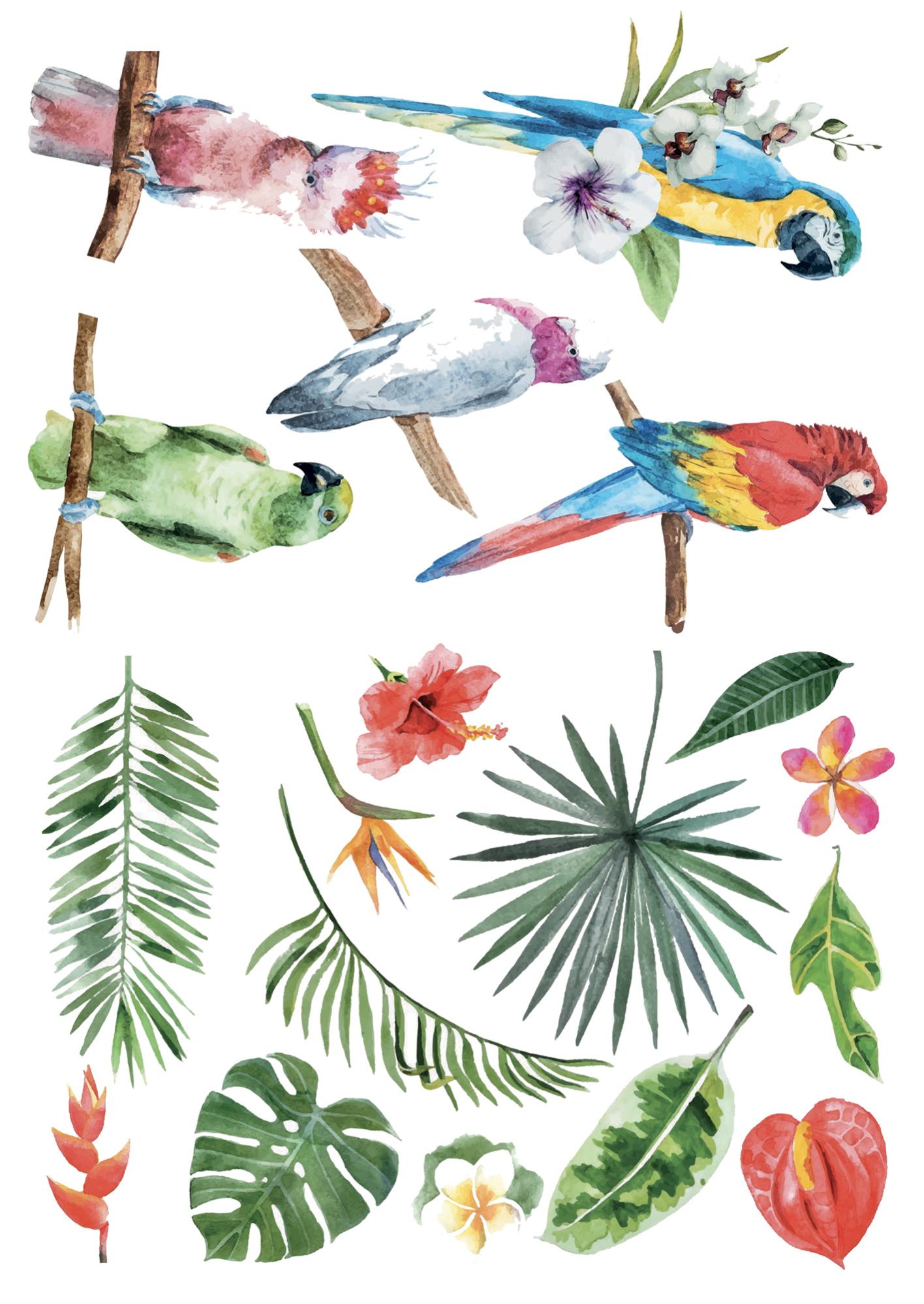 Sticker électrostatique pour vitre, beau perroquets pour fenêtre