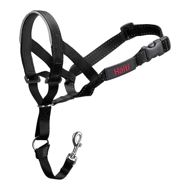 corte largo Soldado Resonar Collar de Adiestramiento para Perros Company of Animals Halti Negro Bozal  (40-54 cm) | Leroy Merlin