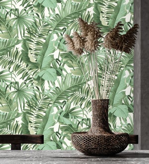 Carta parati foglie palma e banano, piante tropicali, sfondo chiaro - CP170