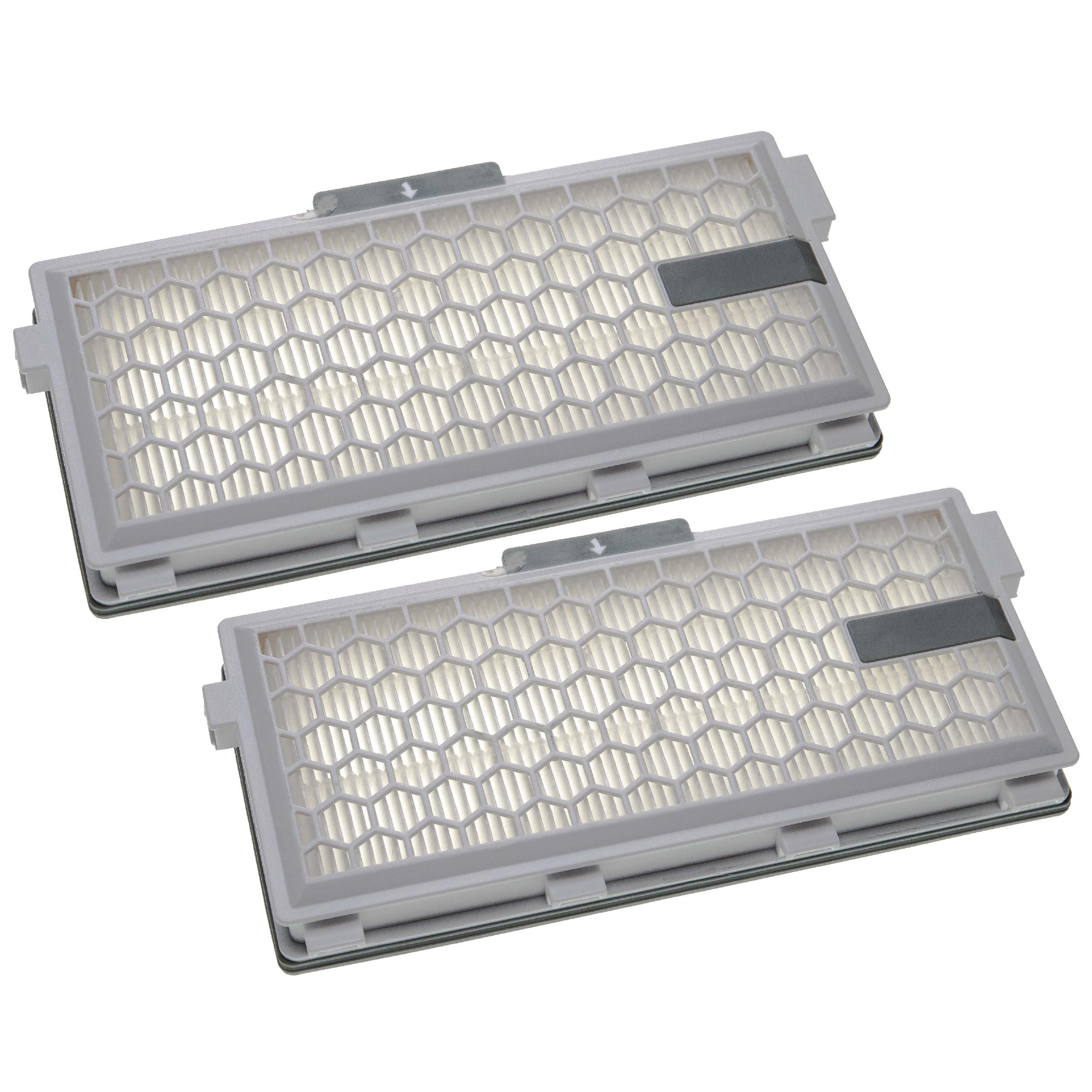 Filtre miele aspirateur 2025