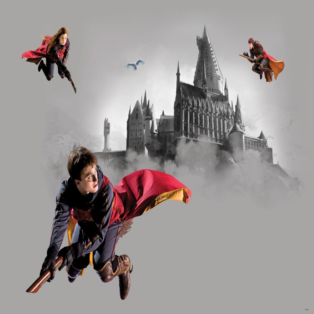 Poster Harry Potter Hogwarts grigio e rosso - 1.1 x 1.55 m - Sanders &  Sanders