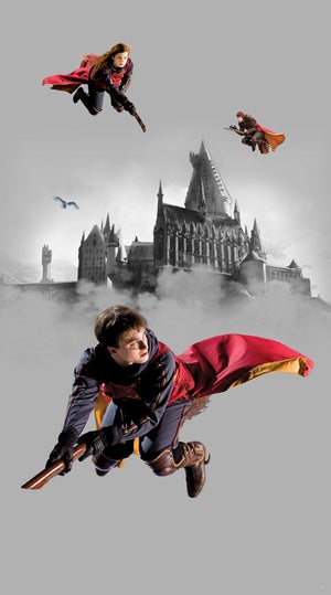 Soldes Peignoir Harry Potter - Nos bonnes affaires de janvier